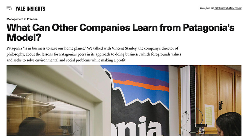 Patagonia screen brand purpose example